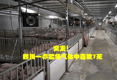 四川一養豬場發生化糞池氣體中毒事故，逸云天氣體檢測儀守護安全